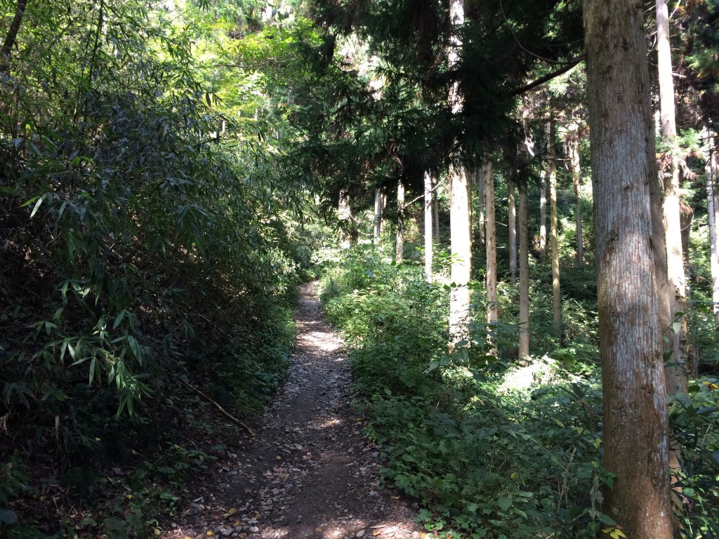 小仏峠登山道