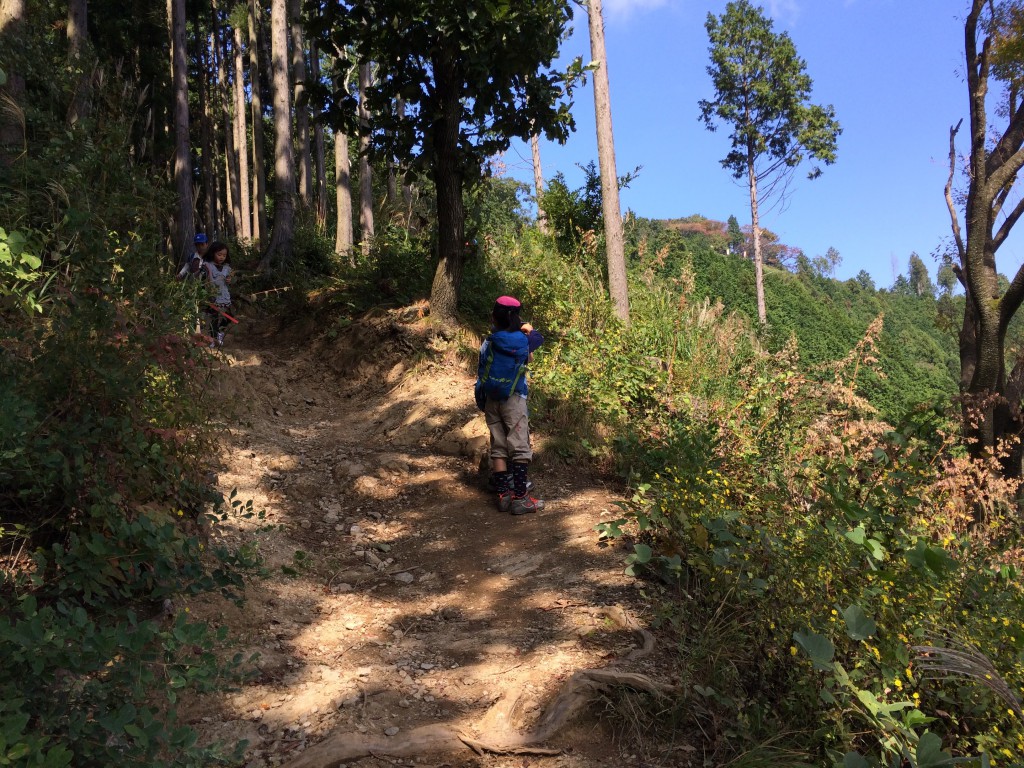 景信山登山道